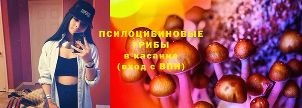 меф Алексин