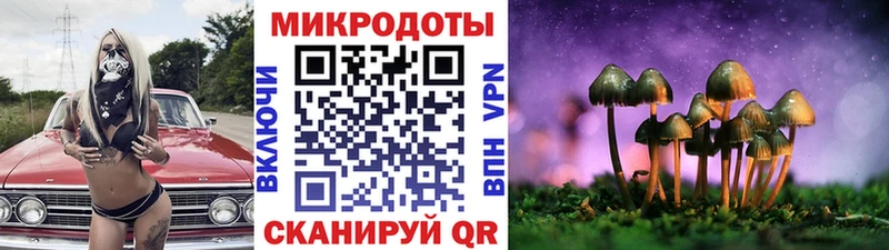 Галлюциногенные грибы MAGIC MUSHROOMS  Николаевск 