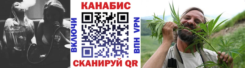 как найти наркотики Николаевск Бошки марихуана гибрид